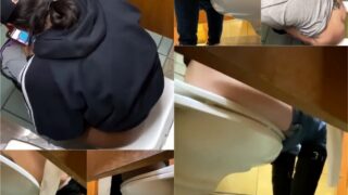 toilet-hidden-camerasGirls_Pissing_Overstall
