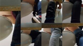 toilet-hidden-camerasPublic toilet 7a