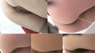 toilet-hidden-camerasReal-Voyeur_Vol.41