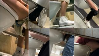 toilet-hidden-camerasUnderstall_Shopping_Mall_Public_Toilet