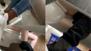 toilet-hidden-camerasWalmart_Understall_Public_Toilet