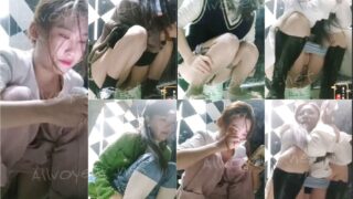 toilet-hidden-camerassifangktv_1128