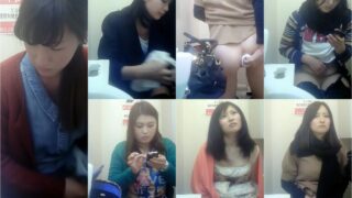 toilet-hidden-cameras超モデル級美女達の排泄姿を鑑賞７