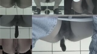 toilet-hidden-cameraspisswc_Shit-12-2