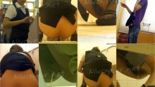 toilet-hidden-cameras15254020
HD Japanese toilet style.25