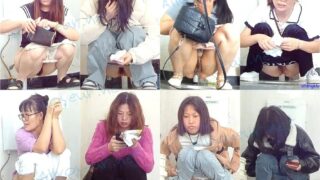 toilet-hidden-camerasTourists_in_The_Toilet_12