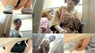 toilet-hidden-camerassifangktv_1049