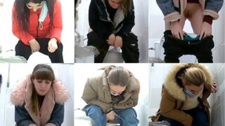 toilet-hidden-camerasShopping_Center_Toilet_1