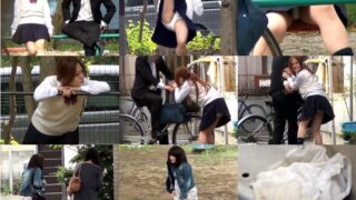 toilet-hidden-camerasPissJapanTV Toilet Masturbation pjt_25008-8-def-1 STAND & DELIVER