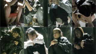 toilet-hidden-camerassifangktv_1495