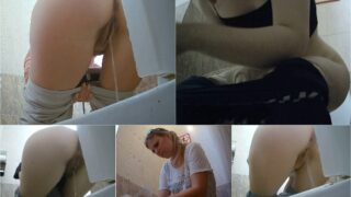 toilet-hidden-camerasGas_Station_Toilet_14