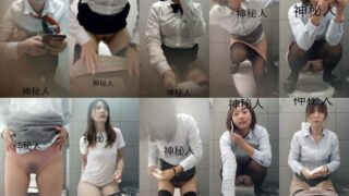 toilet-hidden-camerasPorsche Shop Women Toilet 2