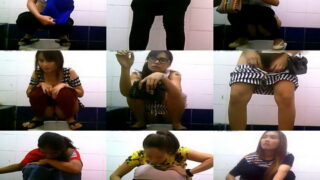 toilet-hidden-camerasThai public WC 11
