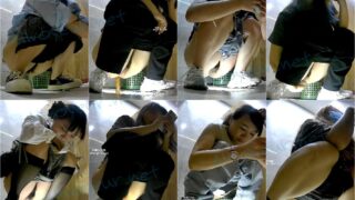 toilet-hidden-camerasBar_Toilet_31