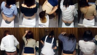 toilet-hidden-camerasPublic_Women_Toilet_2