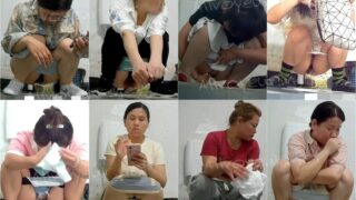 toilet-hidden-camerasTourists_in_The_Toilet_14