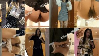 toilet-hidden-camerassifangktv_1233