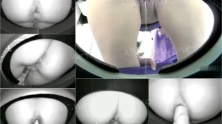 toilet-hidden-camerasPark_Portapotty_6