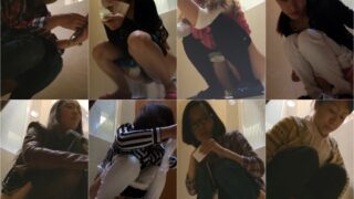 toilet-hidden-camerasPig_Head_Panorama_9