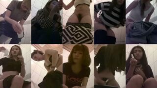 toilet-hidden-camerasScenic_Womens_Toilet_1