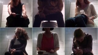 toilet-hidden-camerasSwiss_Toilet_9