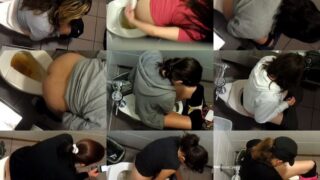 toilet-hidden-camerasTruck Stop Toilet 3