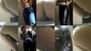 toilet-hidden-camerasEgoisteWC_112