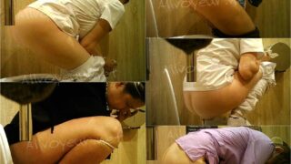 toilet-hidden-camerasPublic_Toilet_247