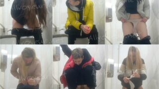 toilet-hidden-camerasShopping_Center_Toilet_45