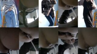 toilet-hidden-camerasShopping_Mall_Toilet_2