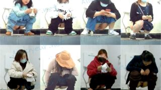 toilet-hidden-camerasTourists_in_The_Toilet_4