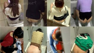 toilet-hidden-camerasVietnam_Hotel_Toilets