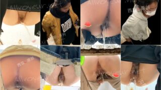 toilet-hidden-camerassifangktv_1789