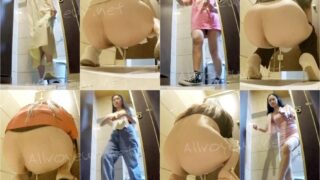 toilet-hidden-camerassifangktv_1804