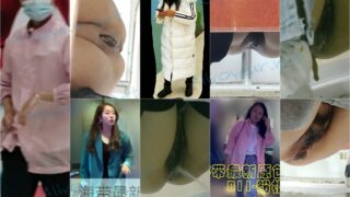 toilet-hidden-camerassifangktv_255