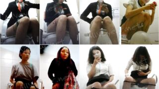 toilet-hidden-camerassifangktv_547