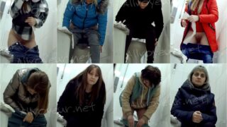 toilet-hidden-camerasShopping_Center_Toilet_39